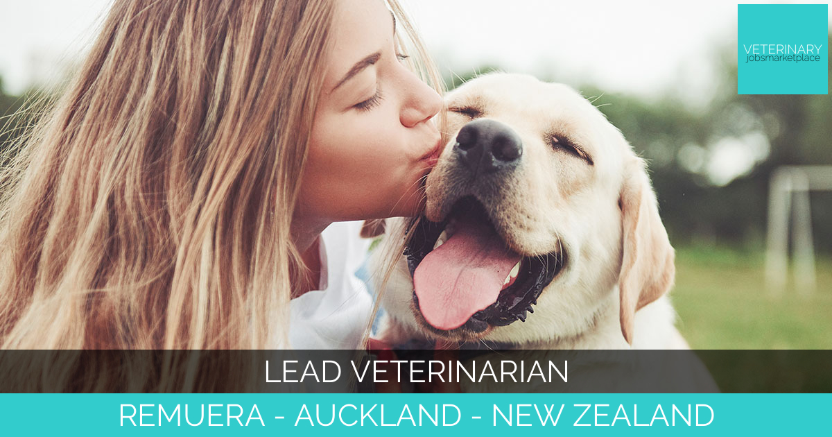 Lead Veterinarian