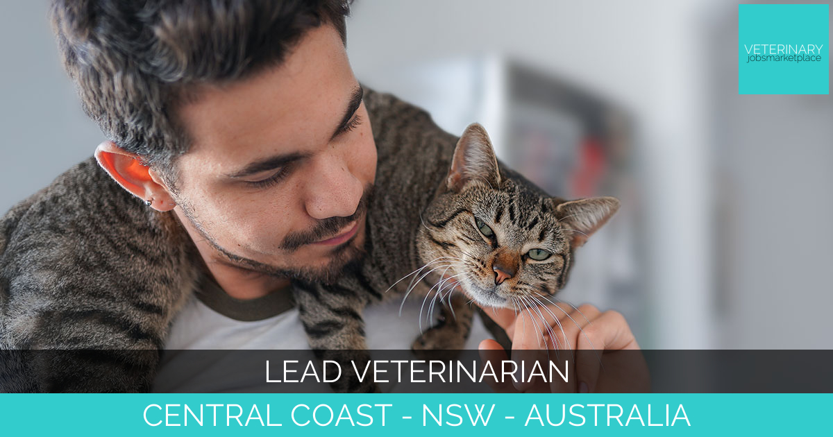 Lead Veterinarian