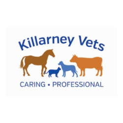 Veterinary Jobs - Vet Jobs - Veterinarian Jobs - DVM Jobs - Veterinary Surgeon Jobs - Veterinary Nurse Jobs - Vet Nurse Jobs - Veterinary Technician Jobs - Vet Tech Jobs - Veterinary Medicine Jobs - Veterinary Surgery Jobs - Vet Life