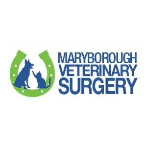 Veterinary Jobs the Fresh Way :: Veterinary Jobs Marketplace